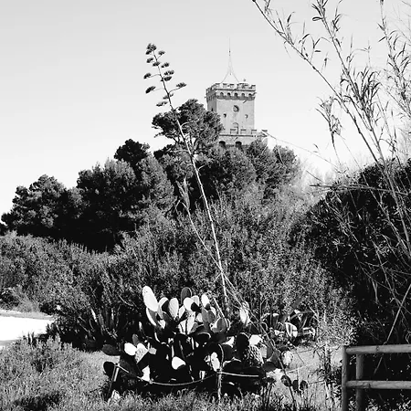 Relax E Mare Vicino Al Cerrano * Pineto