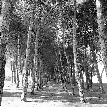 Apartament Relax E Mare Vicino Al Cerrano