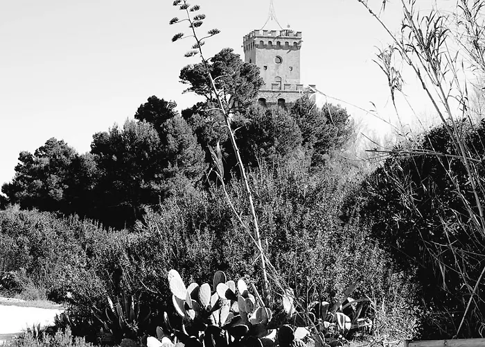 Relax E Mare Vicino Al Cerrano * Pineto