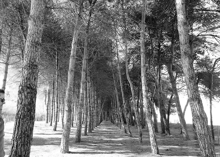 Apartman Relax E Mare Vicino Al Cerrano